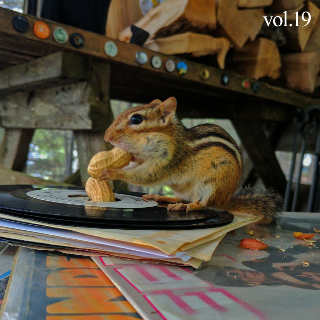 Cover for Cottage Country Volume 19 Rock Mixtape