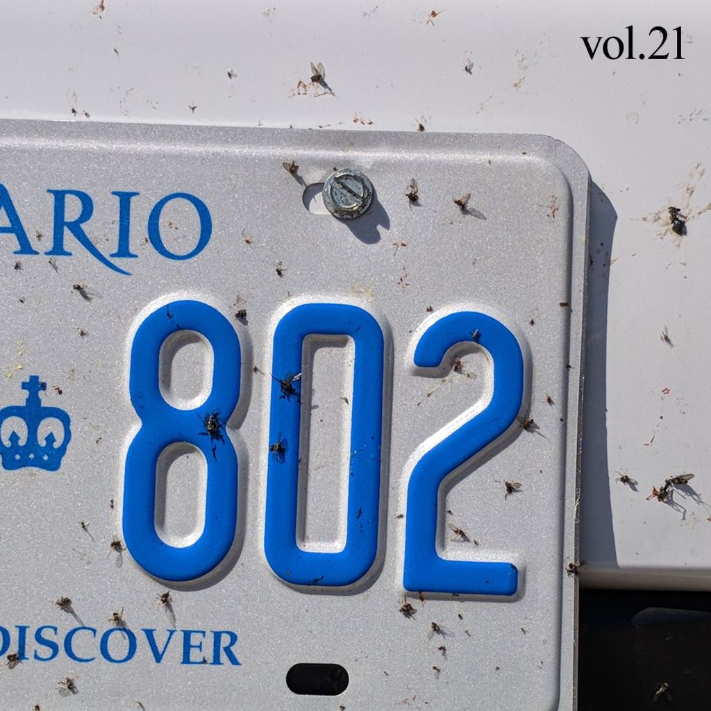 Cover for Cottage Country Volume 21 Rock Mixtape