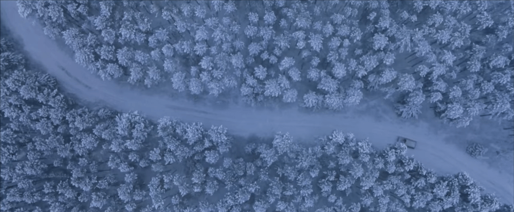 Bird's-eye view of snow covered tree tops
