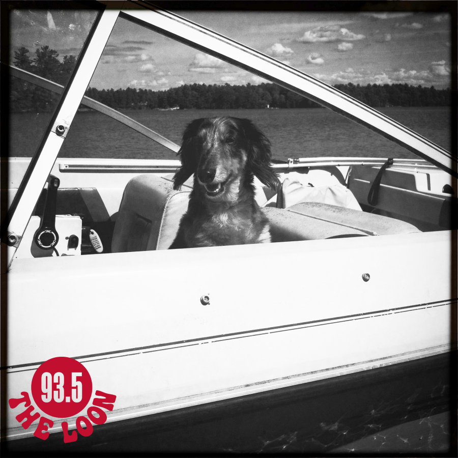 A dachshund dog sits in driver's seat of a boat smiling with eyes closed