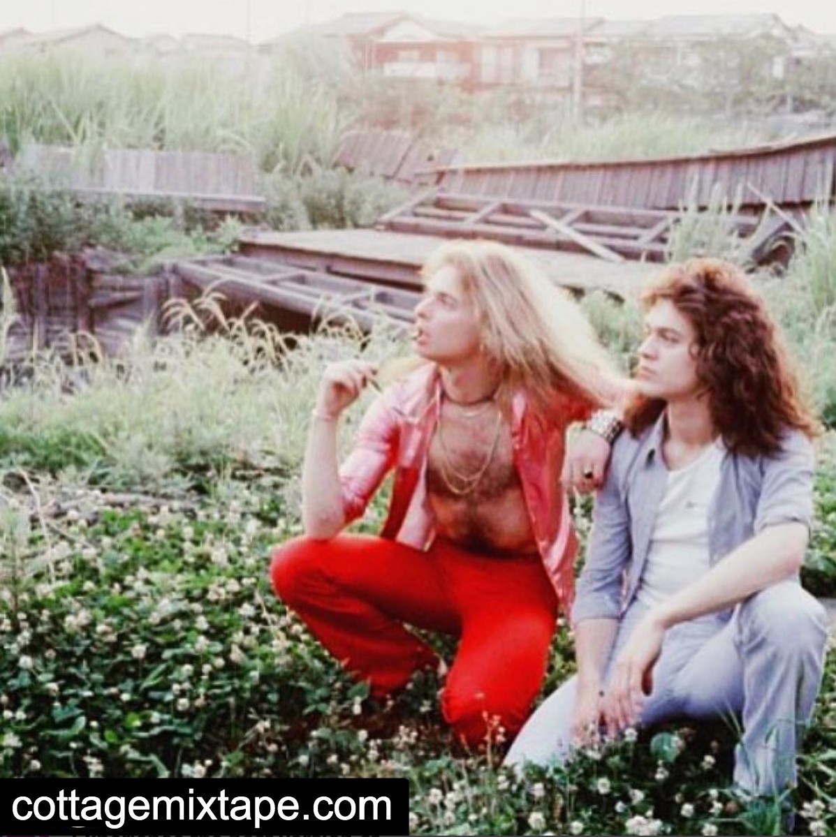 Bands In The Woods Wednesday: Van Halen (Eddie Van Halen and David